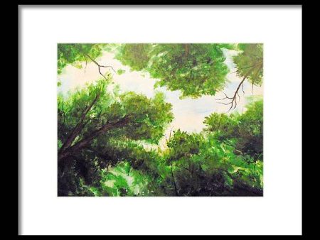 Leaf Lite ~ Framed Print Cheap