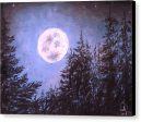 Moon Sight - Canvas Print Supply