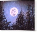 Moon Sight - Canvas Print Supply