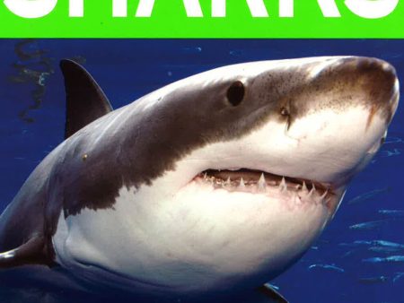 Encyclopedia Of Sharks Online now