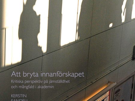 Att bryta innanförskapet : Kritiska perspektiv på jämställdhet och mångfald For Discount