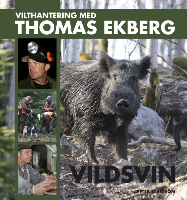 Vilthantering med Thomas Ekberg : vildsvin Supply